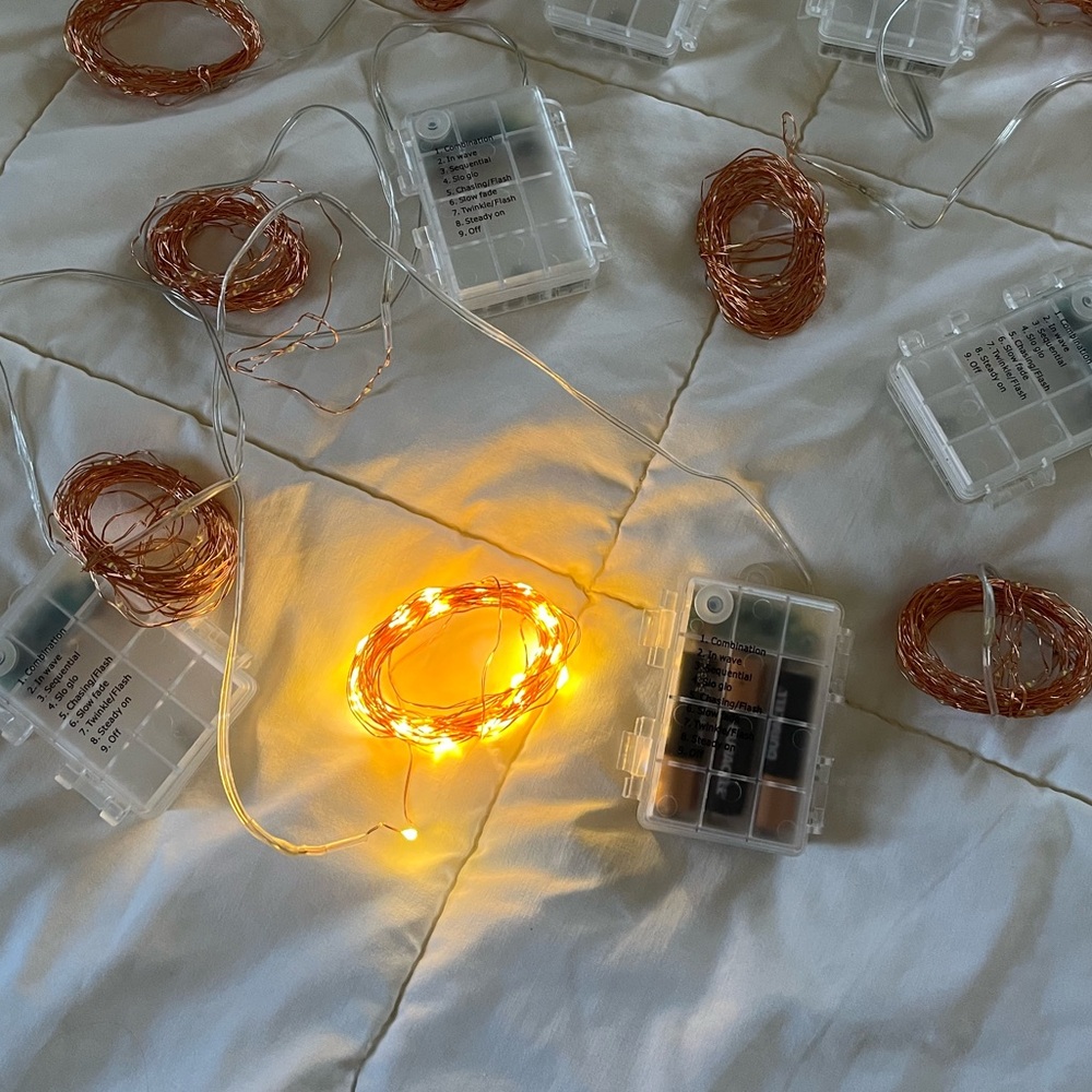 Copper Wire LED Fairy Lights 8 setting AA Battery Powered w/ Remote and Timer